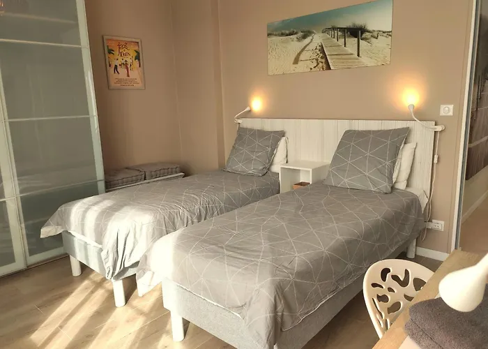 Superbe T3 Climatise - 62M2 - 4 Etoiles - Centre Historique Vue Port De Plaisance - Wifi - 5E Avec Ascenseur